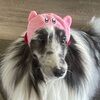 anniekaras